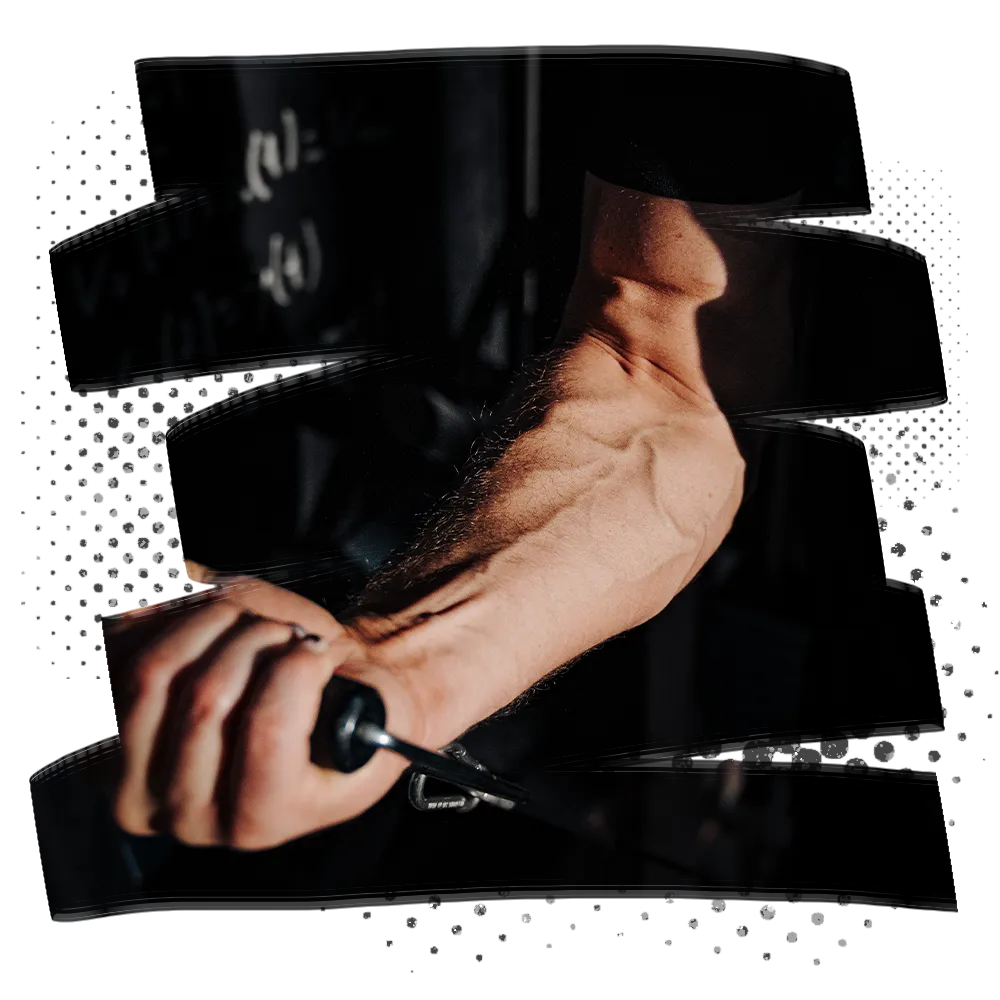 Einzelplan Einzelplan