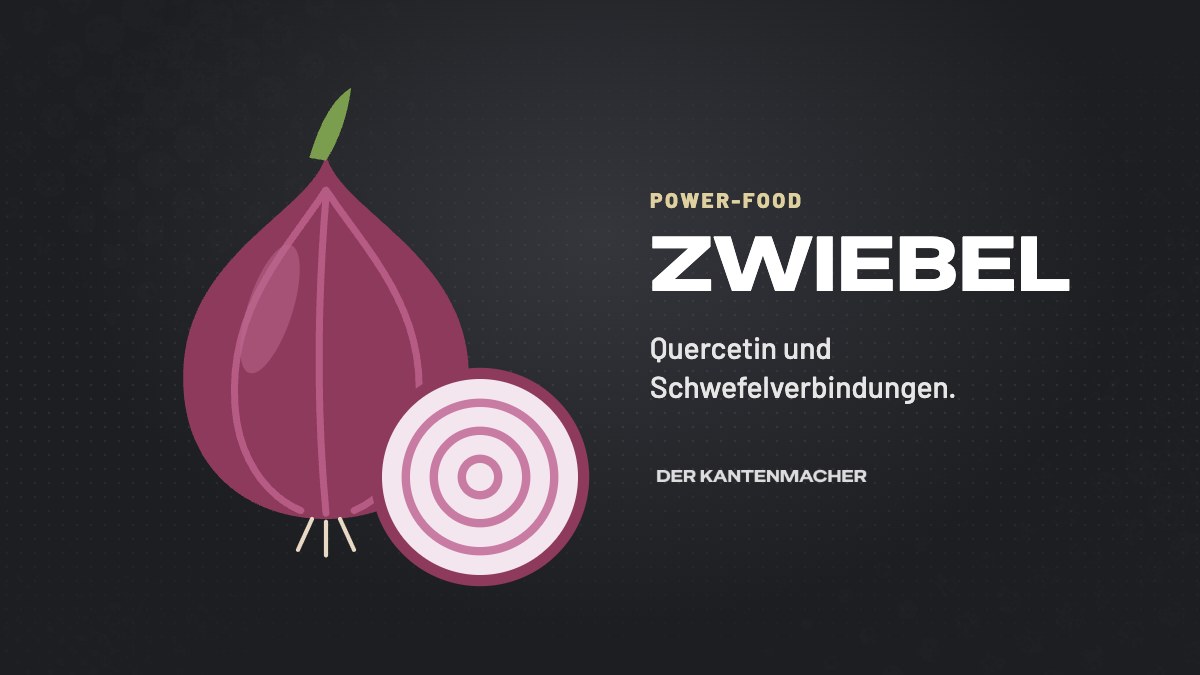 Illustration: Zwiebel
